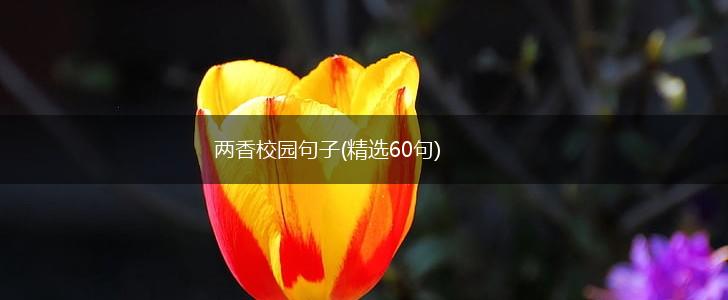 两香校园句子(精选60句),第1张