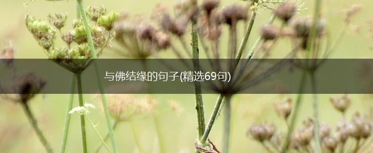 与佛结缘的句子(精选69句),第1张