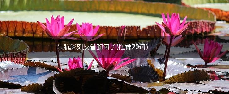 东航深刻反省的句子(推荐20句),第1张