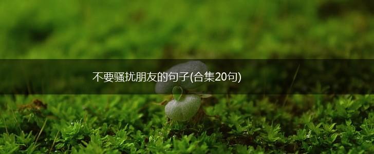 不要骚扰朋友的句子(合集20句),第1张