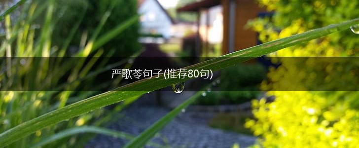 严歌苓句子(推荐80句),第1张