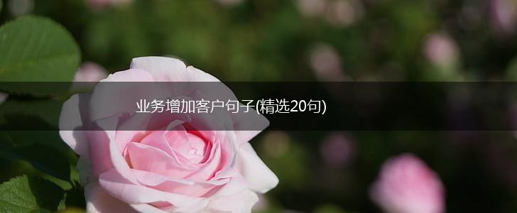 业务增加客户句子(精选20句),第1张