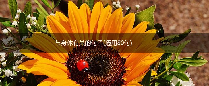 与身体有关的句子(通用80句),第1张