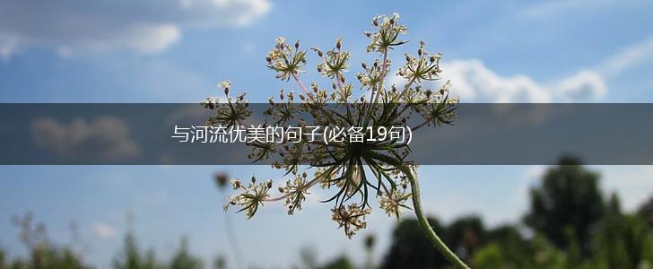 与河流优美的句子(必备19句),第1张