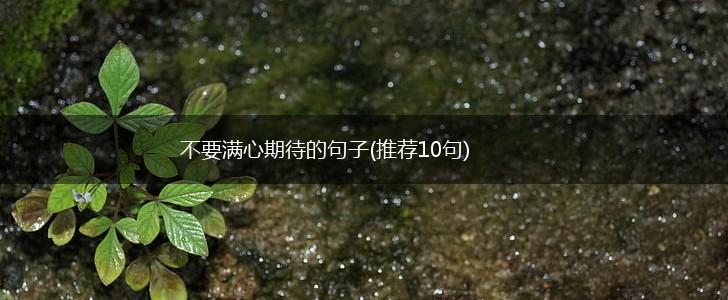 不要满心期待的句子(推荐10句),第1张