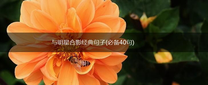 与明星合影经典句子(必备40句),第1张
