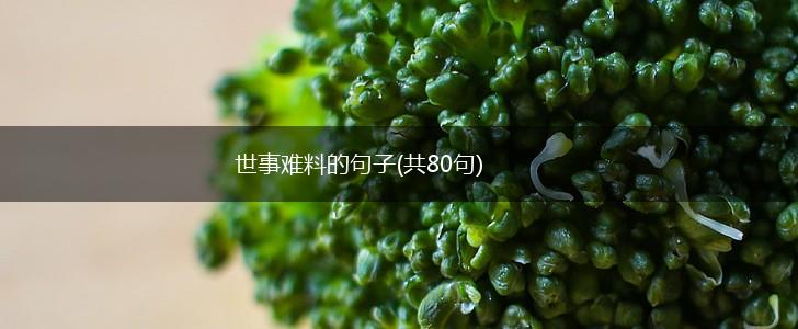 世事难料的句子(共80句),第1张