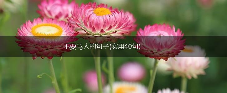 不要骂人的句子(实用40句),第1张