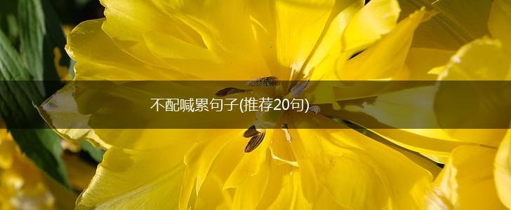 不配喊累句子(推荐20句),第1张