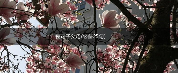 丧句子父母(必备25句),第1张