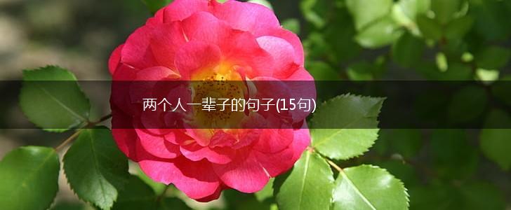 两个人一辈子的句子(15句),第1张