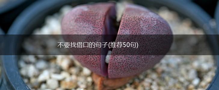 不要找借口的句子(推荐50句),第1张