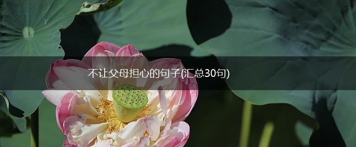 不让父母担心的句子(汇总30句),第1张