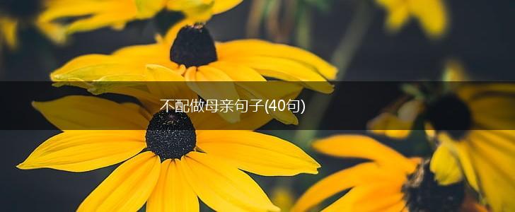 不配做母亲句子(40句),第1张