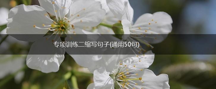 专项训练二缩写句子(通用50句),第1张