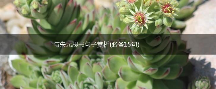 与朱元思书句子赏析(必备15句),第1张