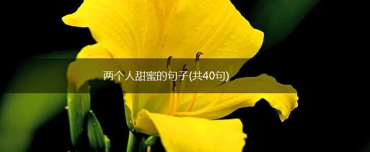 两个人甜蜜的句子(共40句),第1张