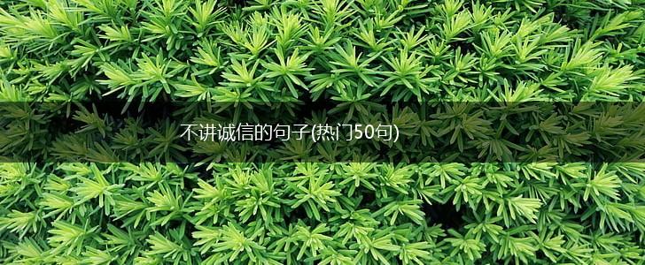 不讲诚信的句子(热门50句),第1张