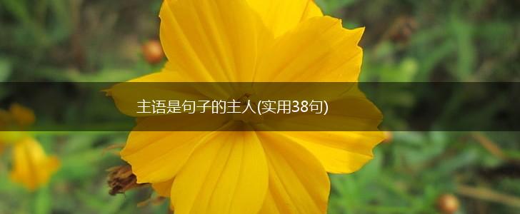 主语是句子的主人(实用38句),第1张
