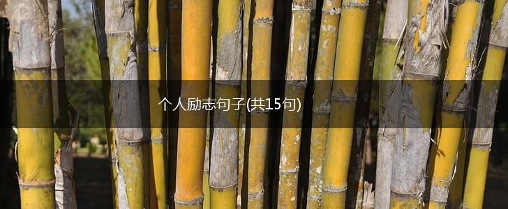 个人励志句子(共15句),第1张