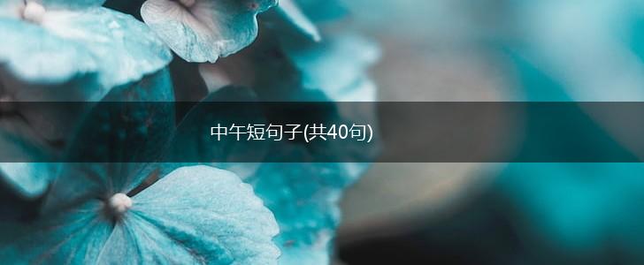 中午短句子(共40句),第1张