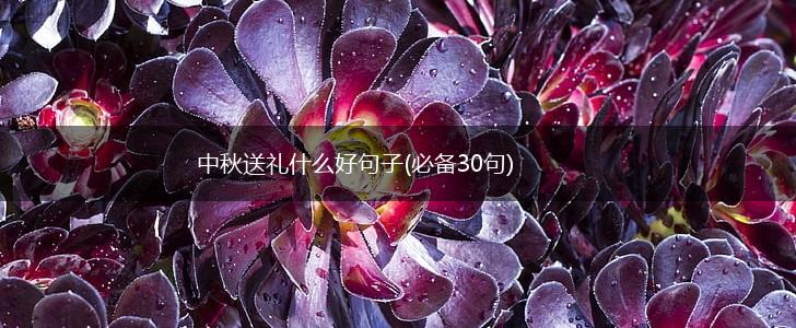 中秋送礼什么好句子(必备30句),第1张