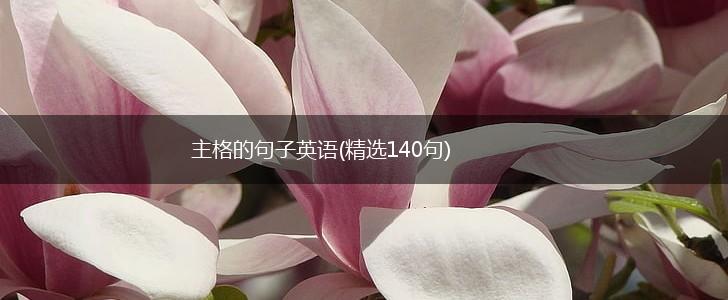 主格的句子英语(精选140句),第1张