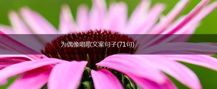为偶像唱歌文案句子(71句),第1张