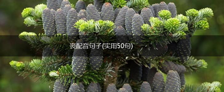丧配音句子(实用50句),第1张