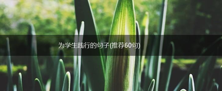 为学生践行的句子(推荐60句),第1张