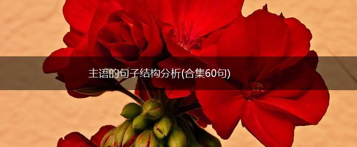 主语的句子结构分析(合集60句),第1张