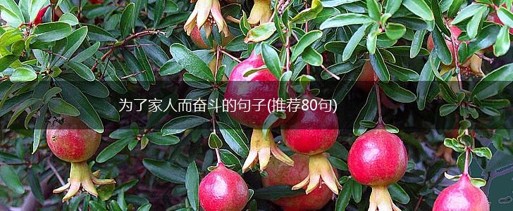 为了家人而奋斗的句子(推荐80句),第1张