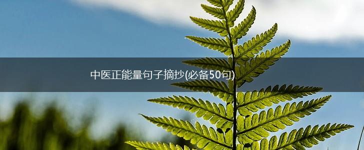 中医正能量句子摘抄(必备50句),第1张