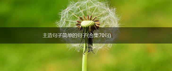 主造句子简单的句子(合集70句),第1张