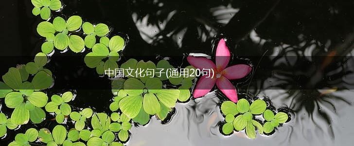 中国文化句子(通用20句),第1张