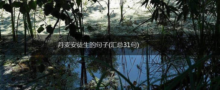 丹麦安徒生的句子(汇总31句),第1张