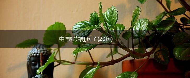 中国好妯娌句子(20句),第1张