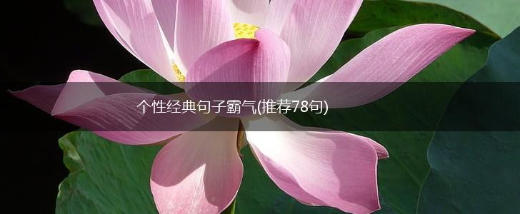 个性经典句子霸气(推荐78句),第1张