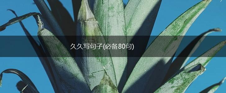 久久写句子(必备80句),第1张