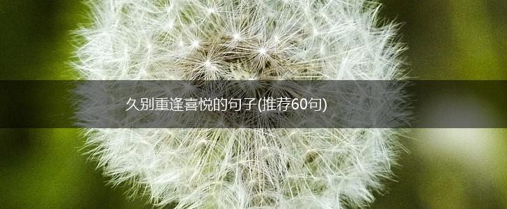 久别重逢喜悦的句子(推荐60句),第1张