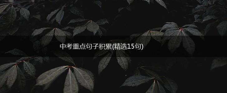 中考重点句子积累(精选15句),第1张