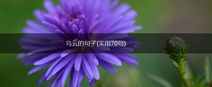 乌云的句子(实用70句),第1张