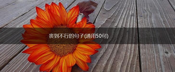 丧到不行的句子(通用50句),第1张