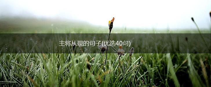 主将从现的句子(优选40句),第1张