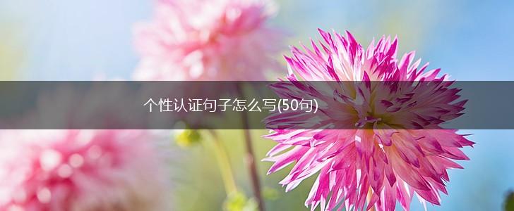 个性认证句子怎么写(50句),第1张