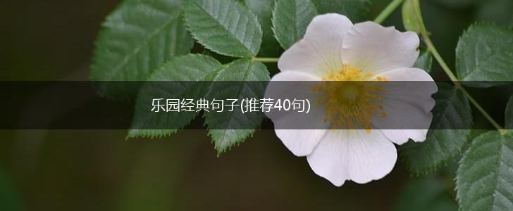 乐园经典句子(推荐40句),第1张
