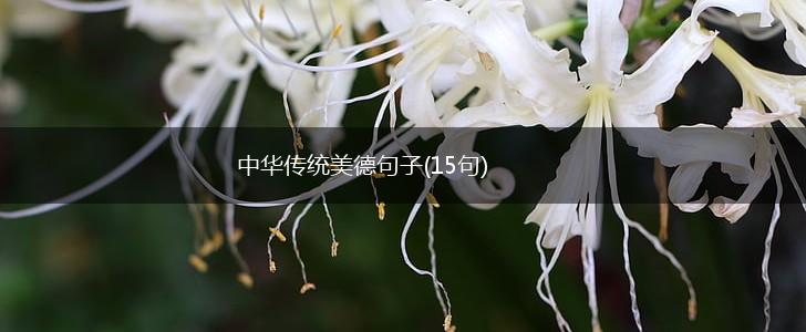 中华传统美德句子(15句),第1张