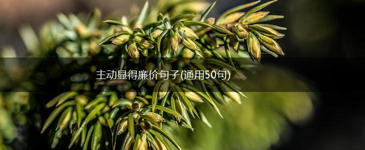 主动显得廉价句子(通用50句),第1张
