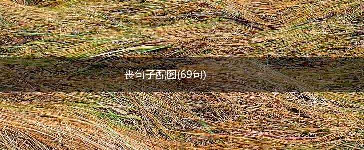 丧句子配图(69句),第1张