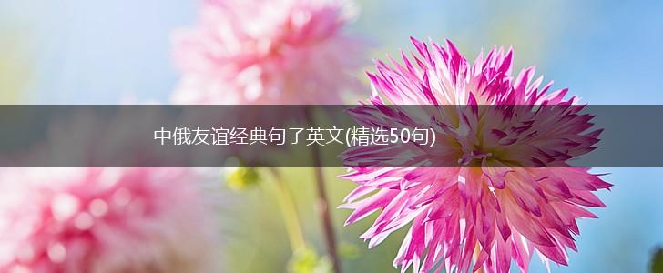 中俄友谊经典句子英文(精选50句),第1张
